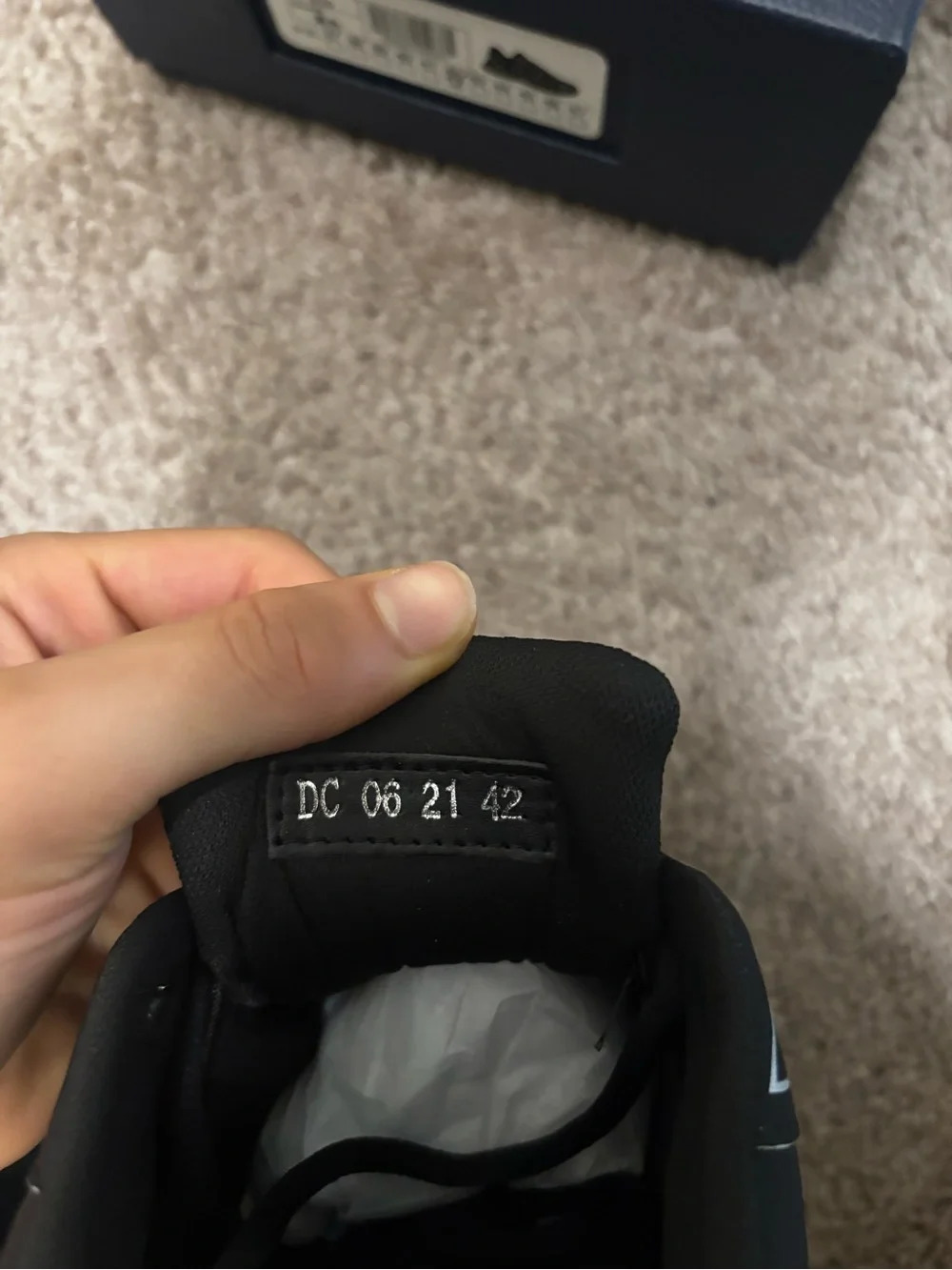 DC Black Low-Top Sneakers with White Trim